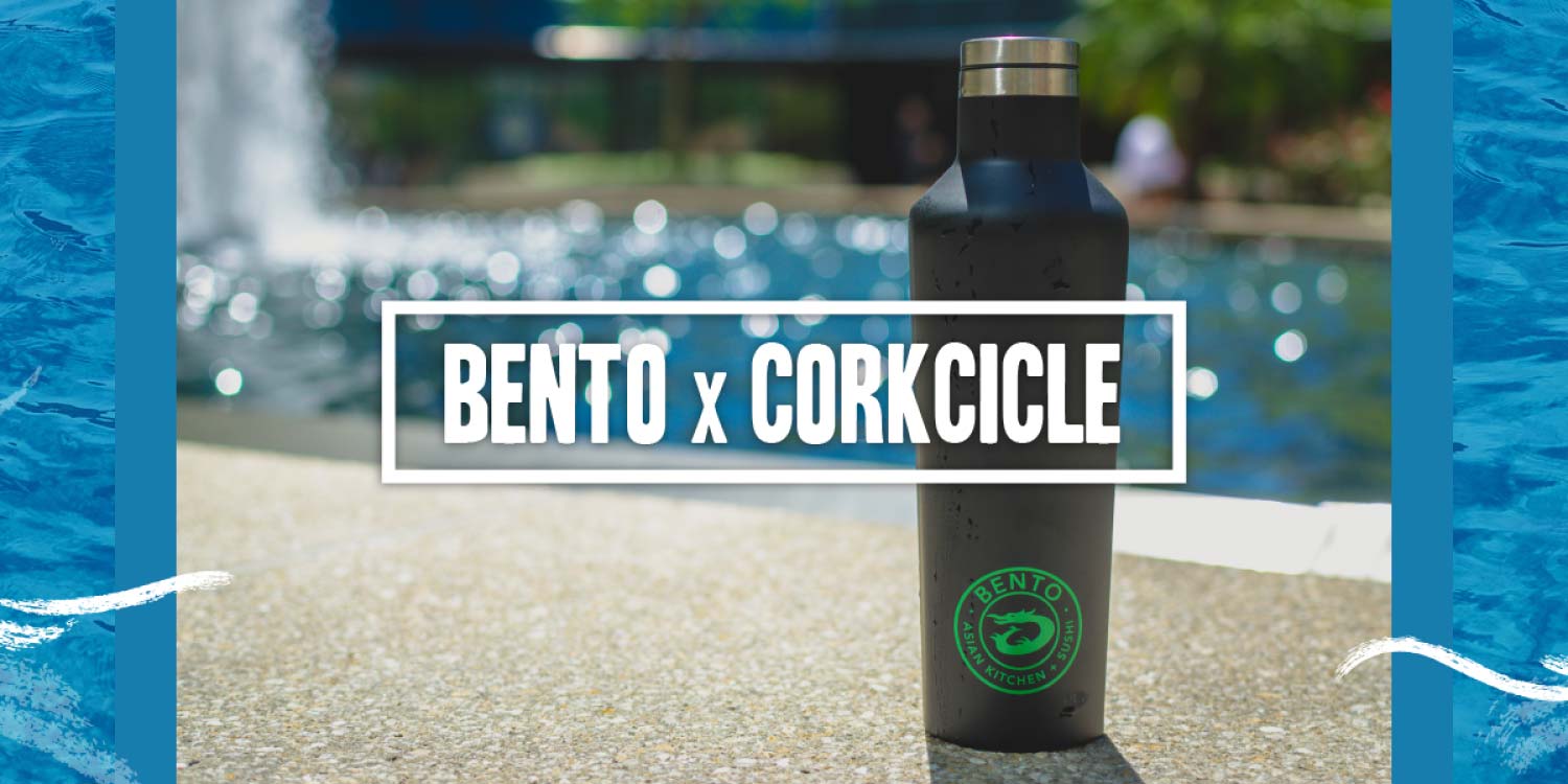 Bento Blog Corkcicle